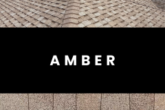 AMBER