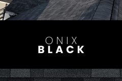 ONYX BLACK